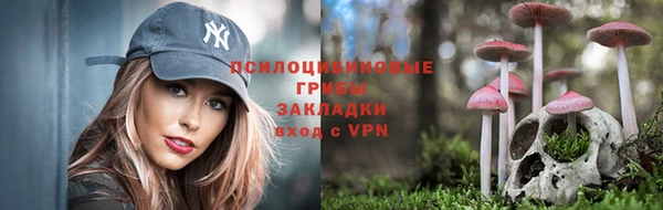 амф Верея