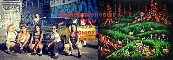 амф Верея