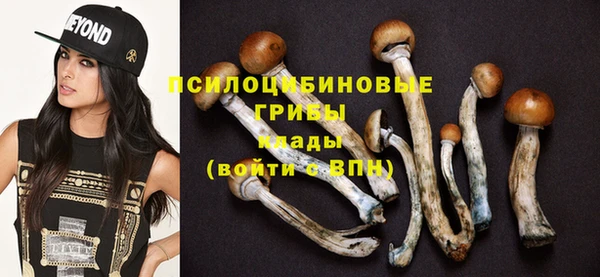 спиды Белокуриха