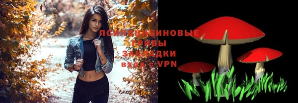тгк Бронницы