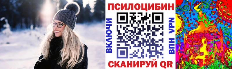 Галлюциногенные грибы Psilocybe  Купить закладки  Дорогобуж 